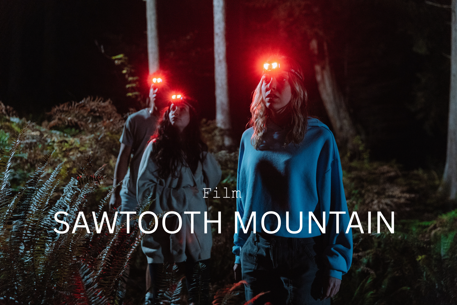 SAWTOOTH MOUNTAIN